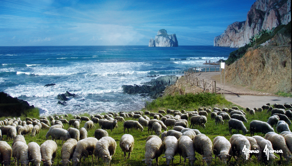 La natura lascia spazio per tutti in ogni stagione, anche per le pecore